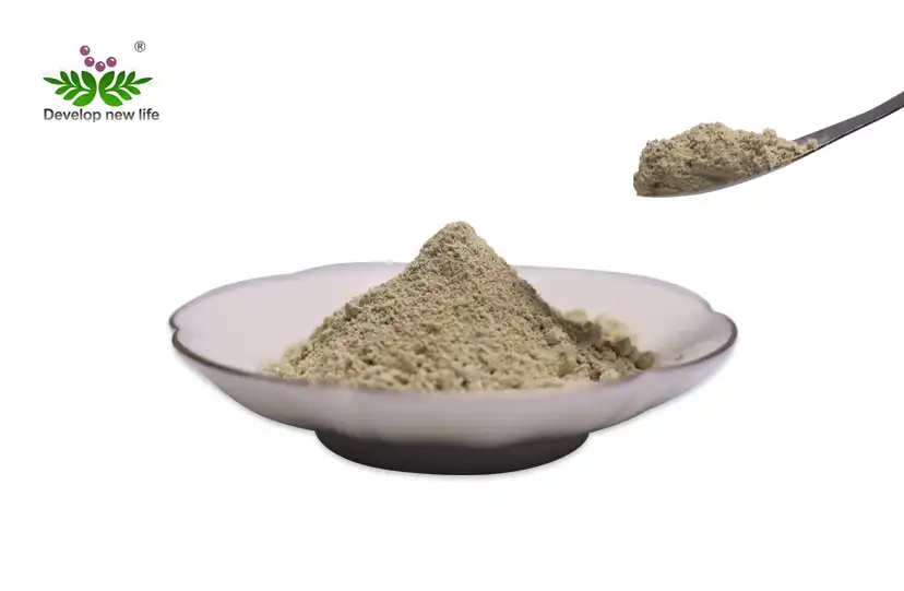 Garcinia Cambogia Extract 60% Hydroxycitric Acid